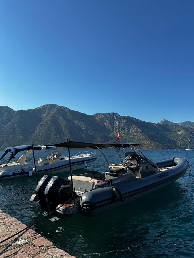 SACS Strider 10 2022